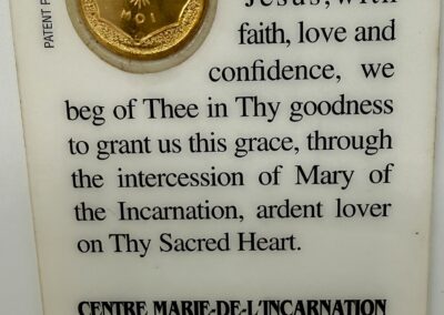 Incarnate Mary Prayer Card FZ0003-g