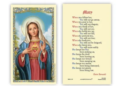 Laminated Holy Card 25P Immaculate Heart/Mary Prayer