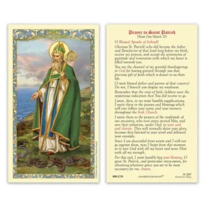 Laminated Holy Card 25P Saint Patrick Prayer