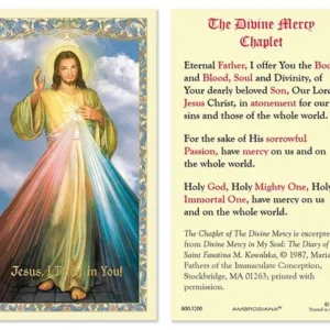 Laminated Holy Card 25P Divine Mercy Chap Prayer