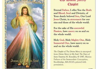 Laminated Holy Card 25P Divine Mercy Chap Prayer