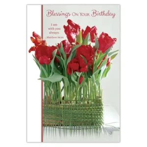 Blessings On Your Birthday Card set of 12