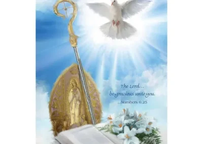 General Confirmation Card set of 12