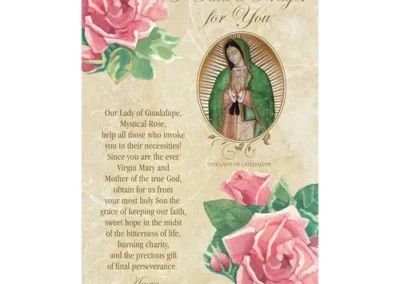 Our Lady of Guadalupe Prayer Card set of 12