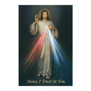 Divine Mercy Note Card set of 12