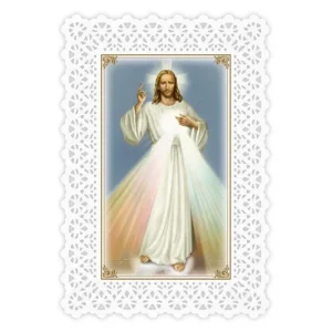 Laminated Holy Card Divine Mercy/Chaplet set of 25
