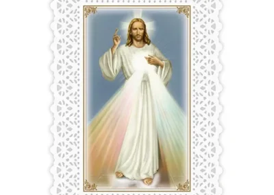 Laminated Holy Card Divine Mercy/Chaplet set of 25
