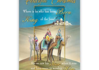 Christmas Wishes Birthday Cards 12 Assorted N5905e__63340