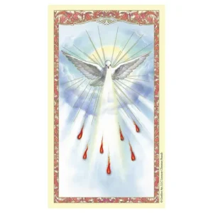 Spanish Laminated Holy Card 25p HS Confirm