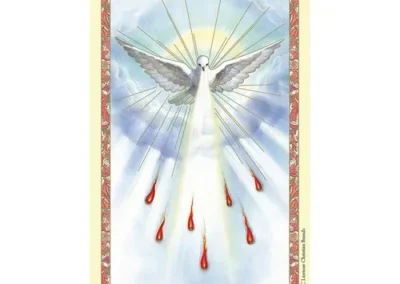 Spanish Laminated Holy Card 25p HS Confirm