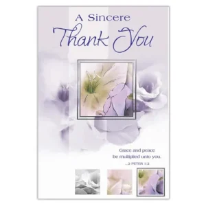 Thank You Card set of 12