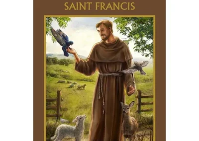 Aquinas Press Day By Day Saint Francis 12pk