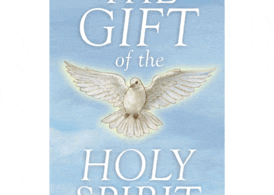 The Gift Of The Holy Spirit Book - 12/pk N5281__14299