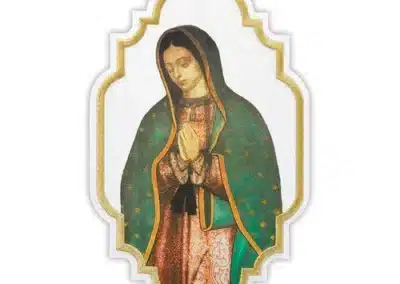Applique - Our Lady of Guadalupe