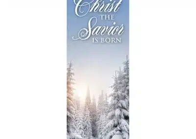 Christ the Savior is Born Banner
