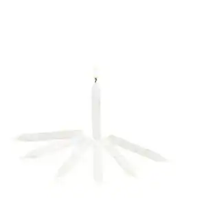 No. 3 Polar Devotional Candlelight Service Candles with Paper Drip Protectors – 4-1/4" | Set of 50