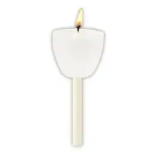 Torch Light Shield