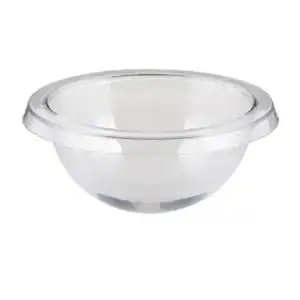 Clear Holy Water Font Liner