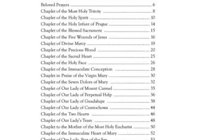 My Favorite Catholic Chaplets Book BA00010-1