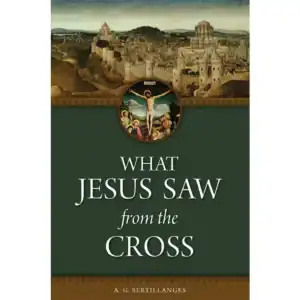 What Jesus Saw from the Cross