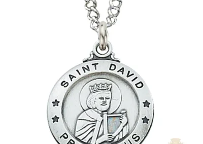 Sterling Silver Pendant